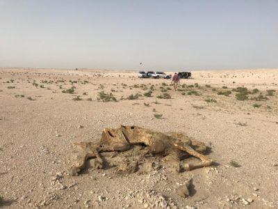 At trip to the border – Qatar/ Saudi? April 2019