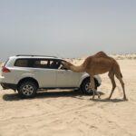 Camping at the Qatar/Saudi Border