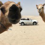 Camping at the Qatar/Saudi Border