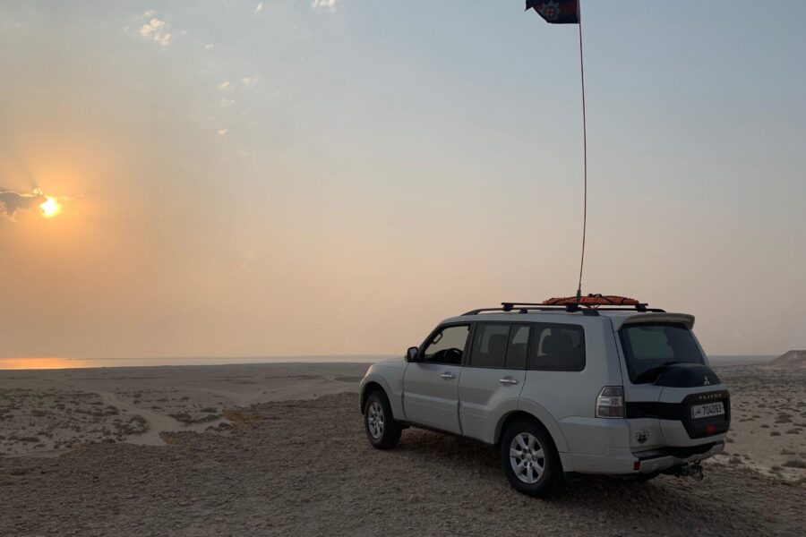 Pajero admiring the view