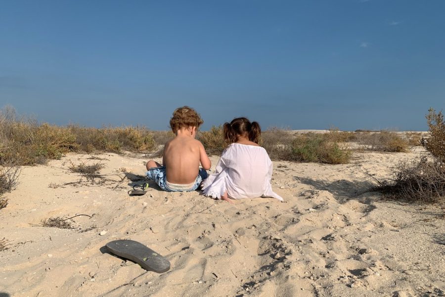 Picnic on the island