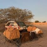 Rally Driving – Africa Eco Race